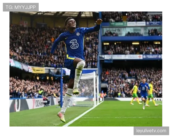 “瞬间聚焦：角球进攻中，切尔西奇尔维尔与对方防守球员的禁区内的连续卡位对抗”